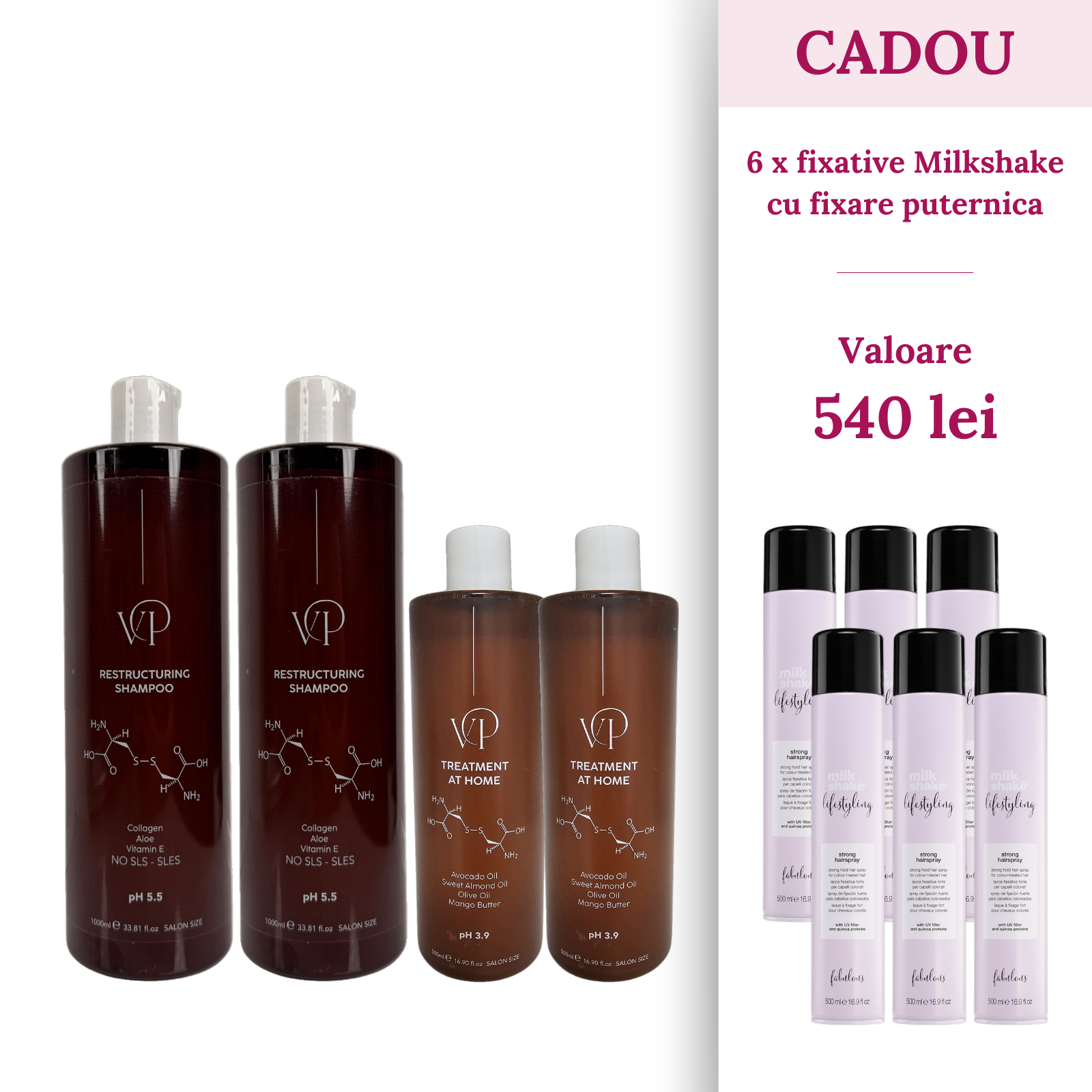 Pachet 2 x Sampon 1000ml si 2 x tratament 500ml Vocea Parului