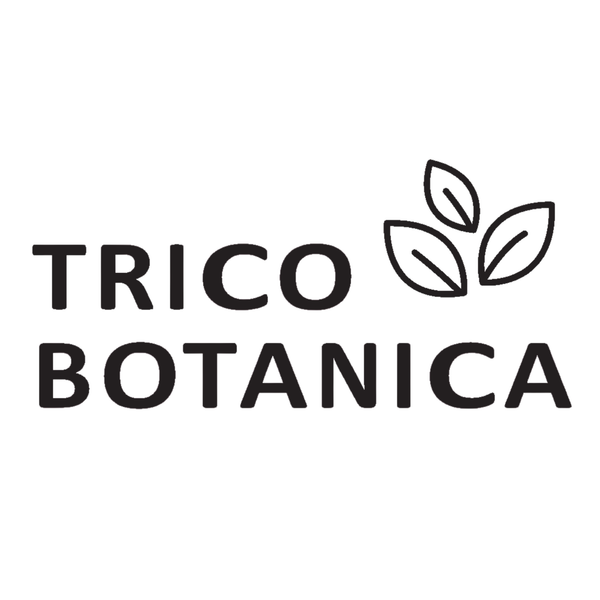 produse profesionale de ingrijire a parului tricobotanica originale romania beautifier