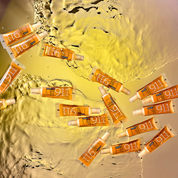 Ulei-tratament pentru repararea parului deteriorat | Biotop Quinoa 911 Hair Repair Oil  6x11ml