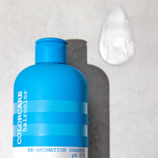 Sampon hidratare par vopsit | Elgon Re-Animation Shampoo Ph 5.5 300 ml