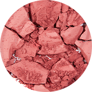 Fard de Obraz | Topface Instyle Blush on 10gr Beautifier
