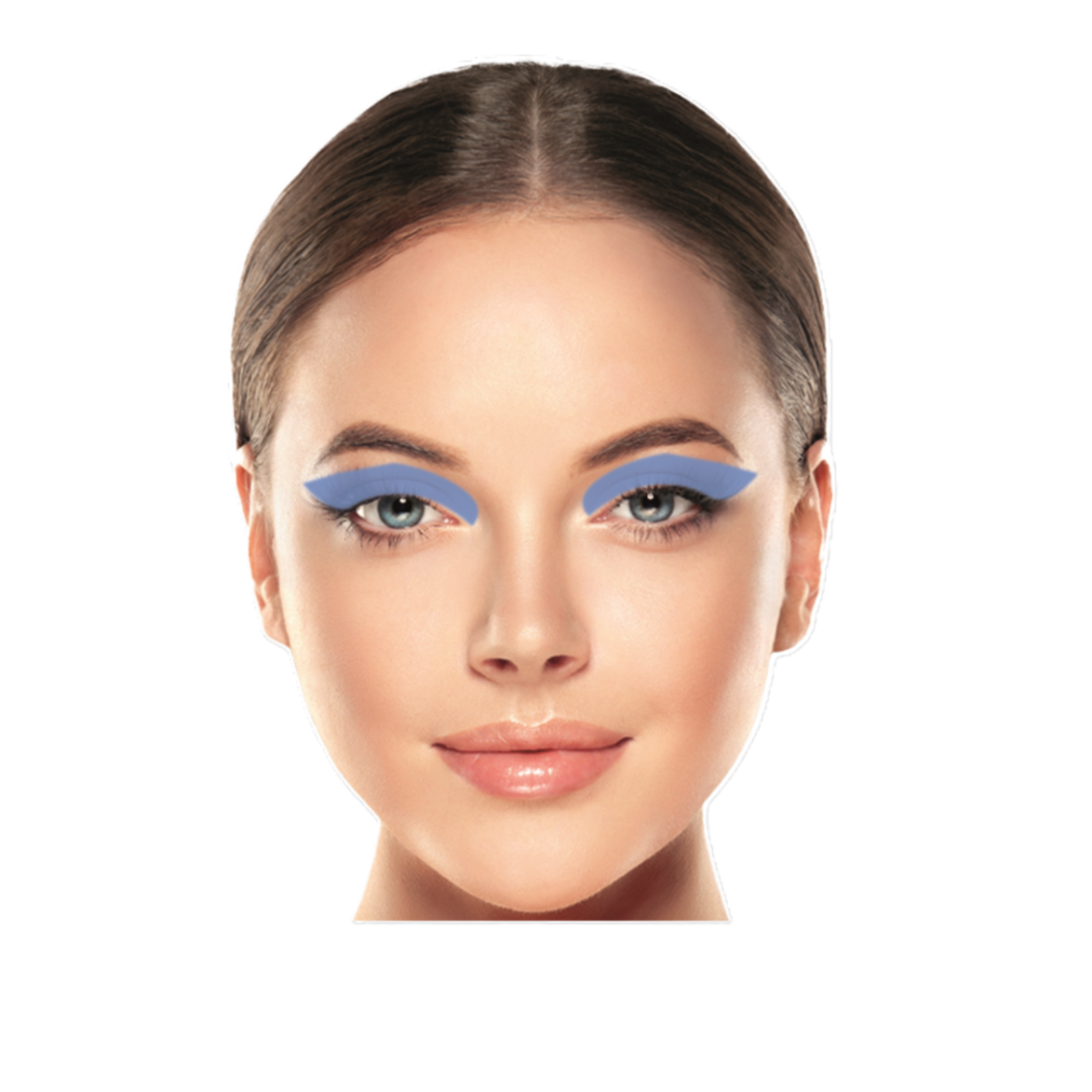 Pensulă în unghi pentru estomparea fardului | Topface Professional Make-Up Angled Blending Brush F09