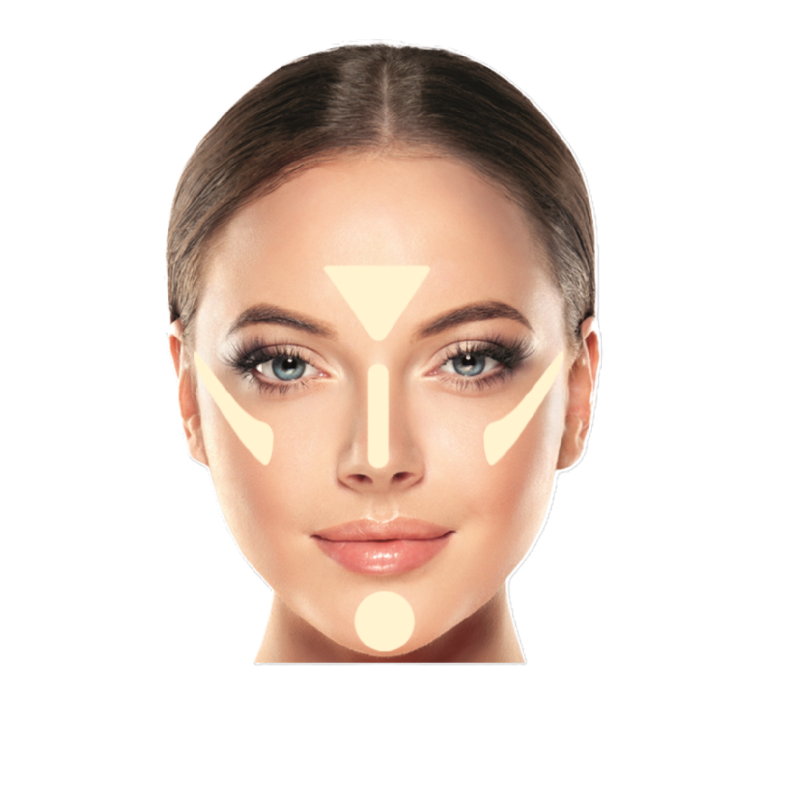 Pernsula evantai | Topface Prodessional Make-Up Fan Brush F22