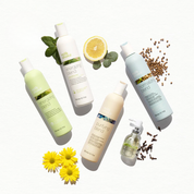 Sampon echilibrare scalp si par gras | Milkshake Normalizing Blend 300 ml original Romania Beautifier